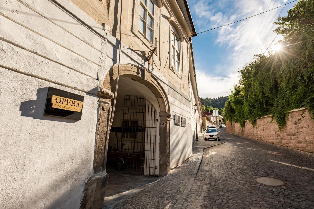 Apartman Blue Moon Banská Štiavnica Extérieur photo